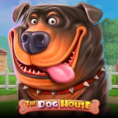 the dog house